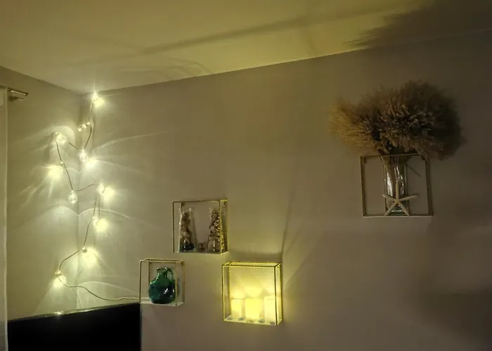 Daire Orange Zaspa *